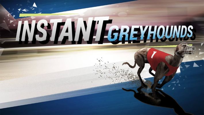 Instant Greyhounds